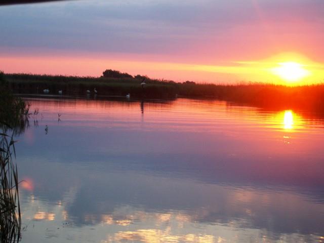 delta rosu 2010 - sany0726.JPG